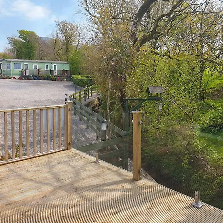 Stream Side View